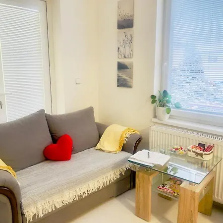 公寓 Modern And Cozy Flat, 10 Min By Tram From Centre 布尔诺