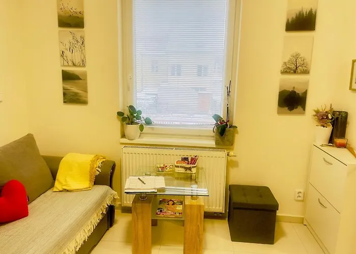 Modern And Cozy Flat, 10 Min By Tram From Centre *