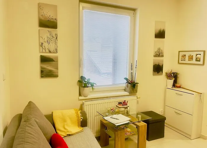 Modern And Cozy Flat, 10 Min By Tram From Centre Brno